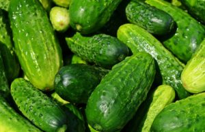 Dill Cucumber Toasties cucumbers