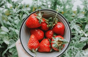 Arugula Salad w/Strawberries arugula salad with strawberries