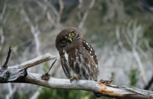 Good Question Jan/Feb 2024