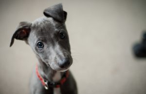 Good Question March/April 2024