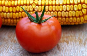 Fresh Corn and Tomato Salad