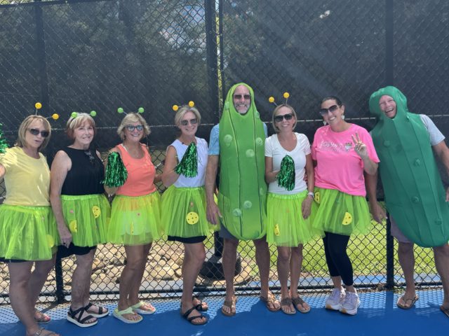 ALTA pickleball players wearing fun costumes.