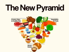 Is The Dietary Guidelines Food Pyramid Adequate Enough For Your Training Diet? new pyarmid visual