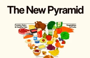 Is The Dietary Guidelines Food Pyramid Adequate Enough For Your Training Diet? new pyarmid visual